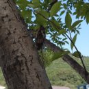 바우길 15구간 이미지