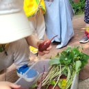 고촌어린이집 이미지