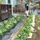 故 김수미 선생님 며느리 배우 서효림 인스타.jpg 이미지