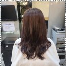 헤어안미용실 이미지