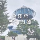 송지호 관망타워 | [고성] 송지호 관망타워