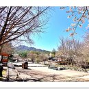 미륵리사지길 이미지