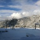 백담향기팬션 이미지