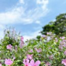 무궁화공원 공중화장실(공원) 이미지
