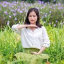 일상의 쉼표 힐링명상 이미지