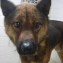 다솔주유소 이미지