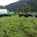 농장민박 이미지