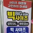 로이젠 이미지