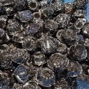 오늘도 농장과 찜질방 이미지