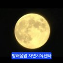 파킨슨 8년차의 기적 ㅡ 누구도 본적이 없고 들은 적 없는 놀라운 일이 지금 일어나네 이미지