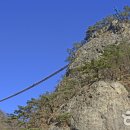 출렁다리농산물 이미지