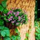 모름지기 이미지