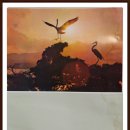 남수중학교 이미지