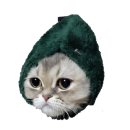 압구정동물의료센터 이미지