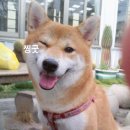 알콩달콩 이미지