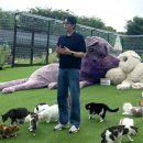 한국펫(주) 이미지