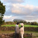 스테이 은월 : 오조 이미지