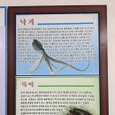 남경해물낙지 이미지