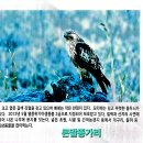 섬진강자전거길3 | 섬진강 자전거 길 3코스 중 고달교~곡성침실습지연하원,퐁퐁다리 2026.03.01 일요일