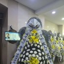 세무법인 솔지 이미지