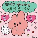 나의두번째이야기 이미지