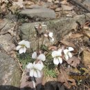 안양초등학교1 이미지