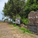 지미봉주차장 | 제주 동쪽 오름 종달리 명소 제주 지미봉 정상 후기