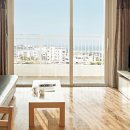 스위트펫 이미지