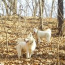 아롱이다롱이 이미지