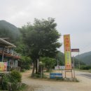 늑천정 옆 이미지