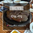 은행나무집앞 | 천안 백숙 맛집 은행나무집 장모님 모시고 다녀온 만족 후기