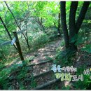 망곡산 체육공원 이미지