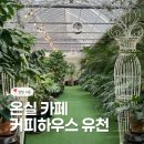 유천하우스 | 겨울 실내데이트 추천 인천 서구 온실 카페 커피하우스 유천