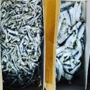 케이비 푸드 이미지