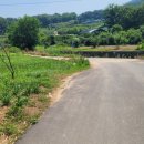 황금터농장 이미지