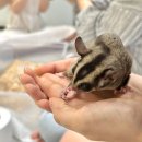 동물원야식 이미지