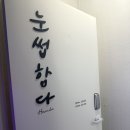 눈썹함다 네이버블로그
