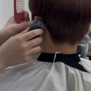 쿨헤어샵 | 대전 도안동 미용실 남자머리 쿨브라운 염색 쉐어에비뉴102호 ( by. 채아 )