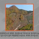 한성태양광발전소 이미지