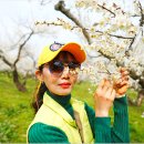 매화농장 이미지