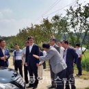 산수유권역 이미지