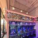 헌터독 가수원점 이미지