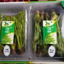 가인농장 이미지