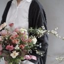 달루즈