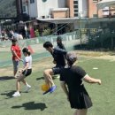 가평 태권도장 이미지