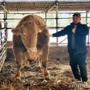 삼성한우농장 이미지