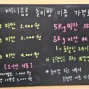 애견카페 제니콩콩 이미지