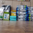 멍멍이랑 호호아줌마 이미지