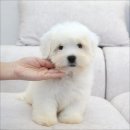 유어라운지 이미지