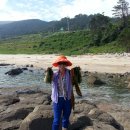 바다랑파도랑 이미지